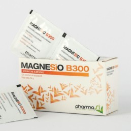 Magnesio B300 terapia di magnesio ad alto dosaggio